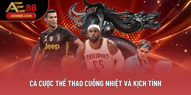 Cá cược thể thao cuồng nhiệt và kịch tính