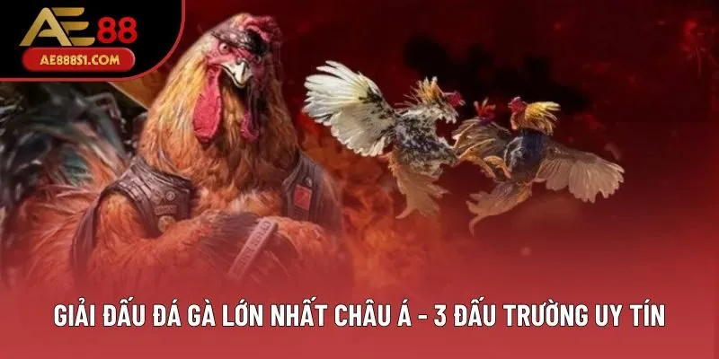 Giải Đấu Đá Gà Lớn Nhất Châu Á - Những Sân Chơi Đẳng Cấp