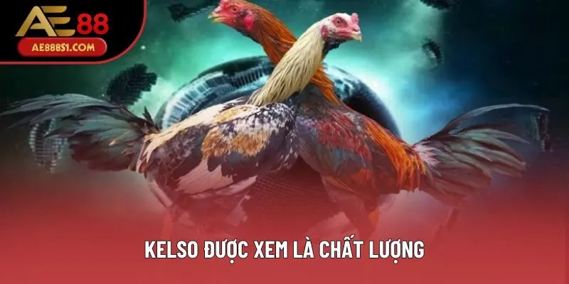 Kelso được xem là chất lượng