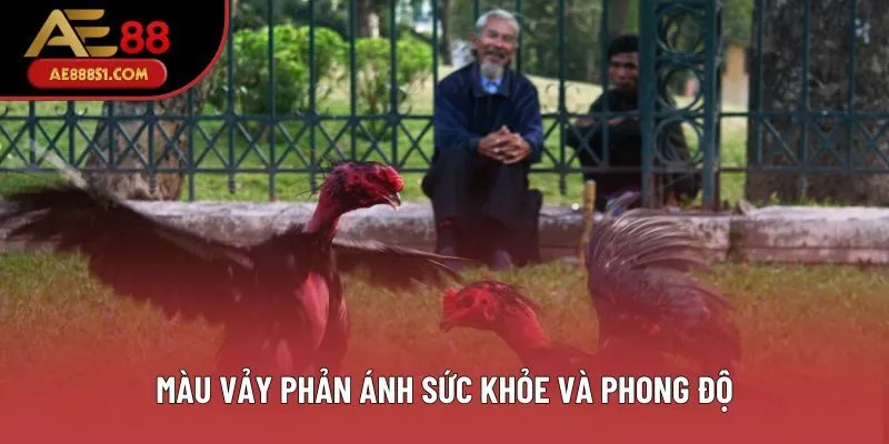 Màu vảy phản ánh sức khỏe và phong độ