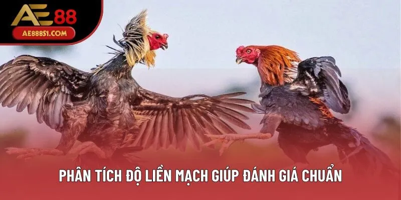 Phân tích độ liền mạch giúp đánh giá chuẩn