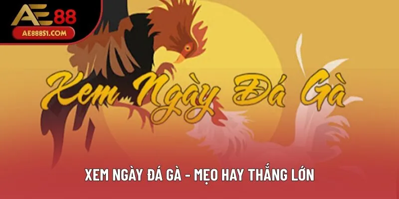 Hướng Dẫn Xem Ngày Đá Gà Nhanh, Dễ Dàng Và Chuẩn Chỉnh